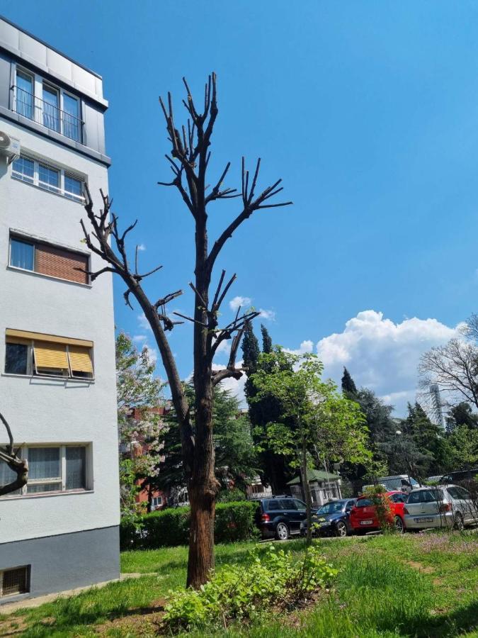Appartamento Atelje Podgorica Esterno foto