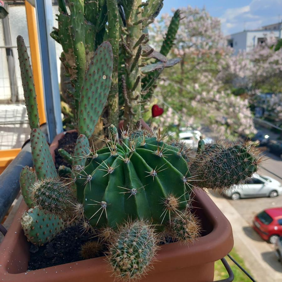 Appartamento Atelje Podgorica Esterno foto